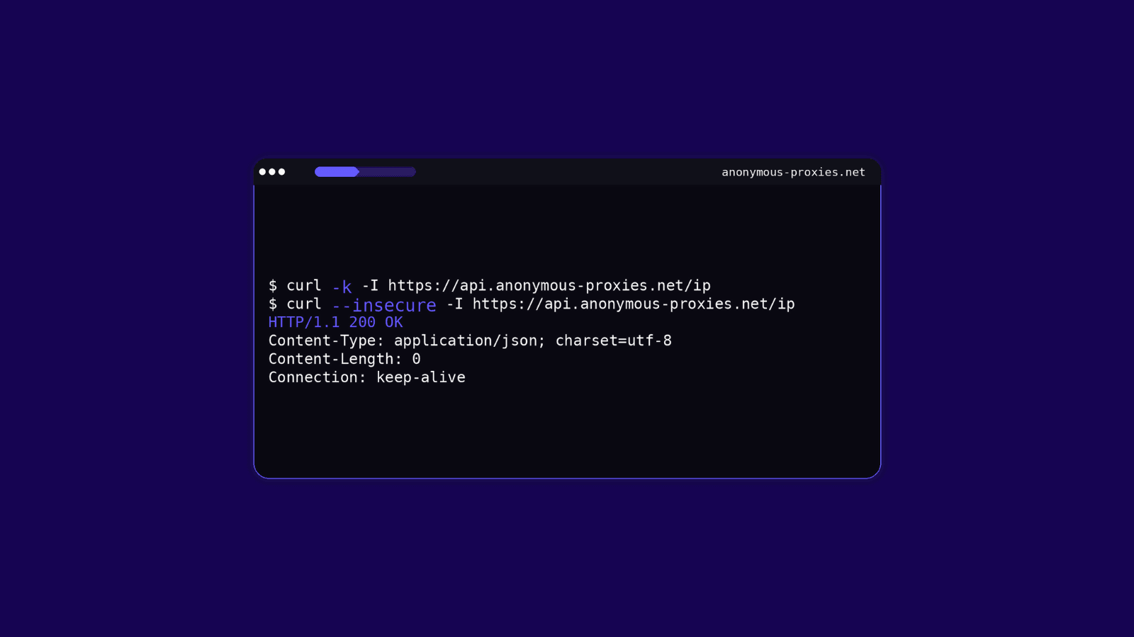 Curl ignore ssl hero image